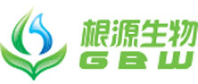 GBW Group, China